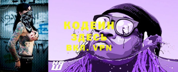 мдпв Верея