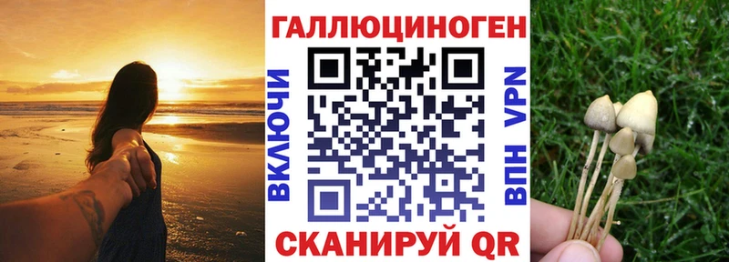 blacksprut ссылка  Ворсма  Галлюциногенные грибы Psilocybe 